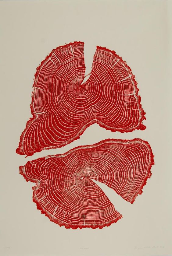 How do we overcome our obsession with growth? By Cherise Lily Nana. Art- Red Acorn tree cross section print by Bryan Nash Gill.